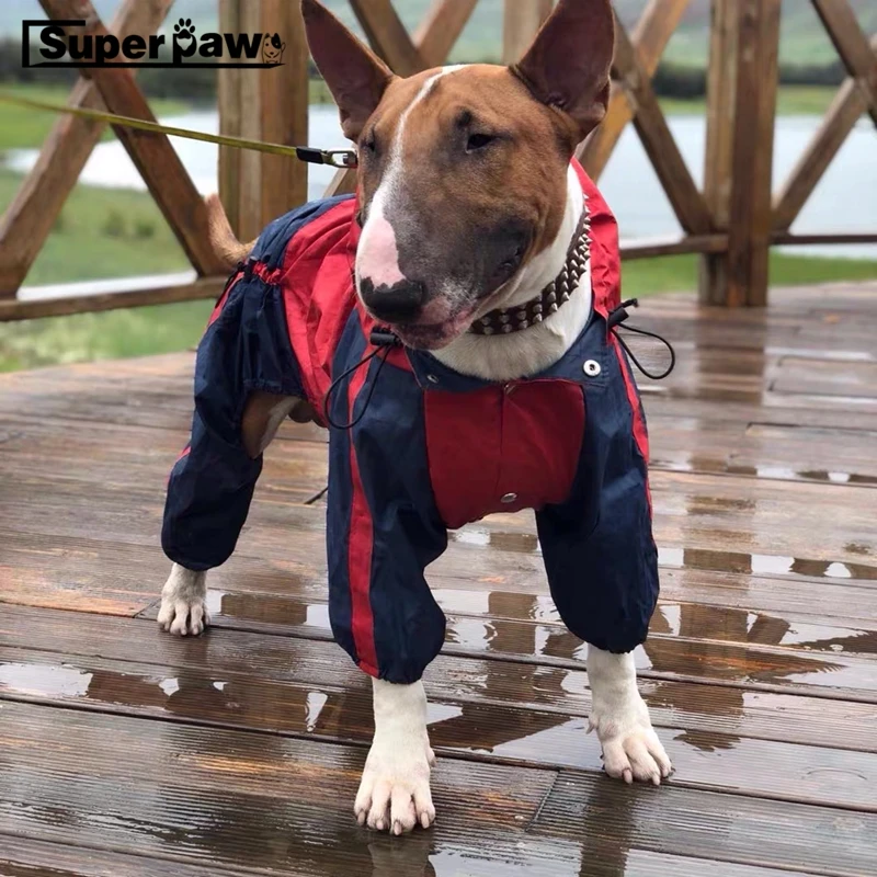 bull terrier jacket