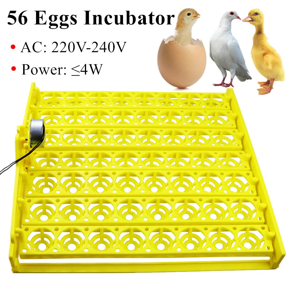 56 Eggs Incubator Eggs Automatic Incubator Incubator motor Turn Tray Poultry Incubation