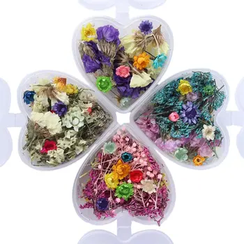 

1 Box Epoxy Filler Real Dried Flower Mixed 3D Nail Stickers Decorations Herbarium Craft Art Jewelry Making DIY Accessories