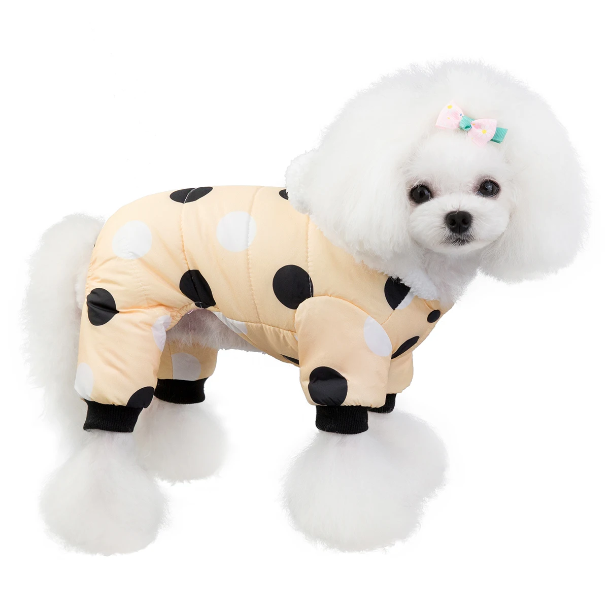 dog clothes for small dogs