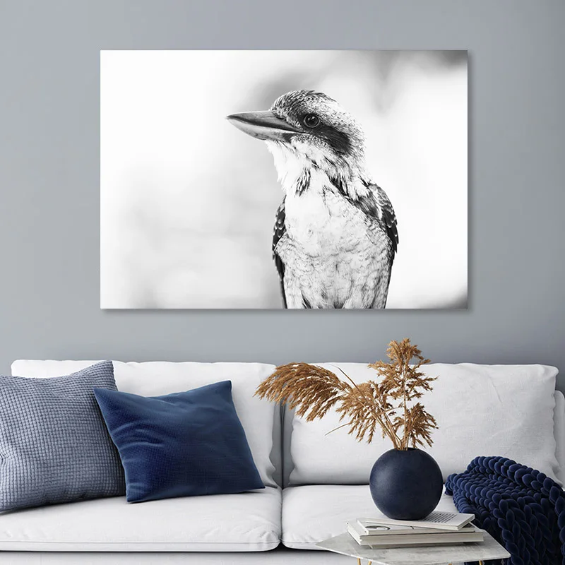 Черно-белый постер Kookaburra с изображением птицы животное печать на холсте