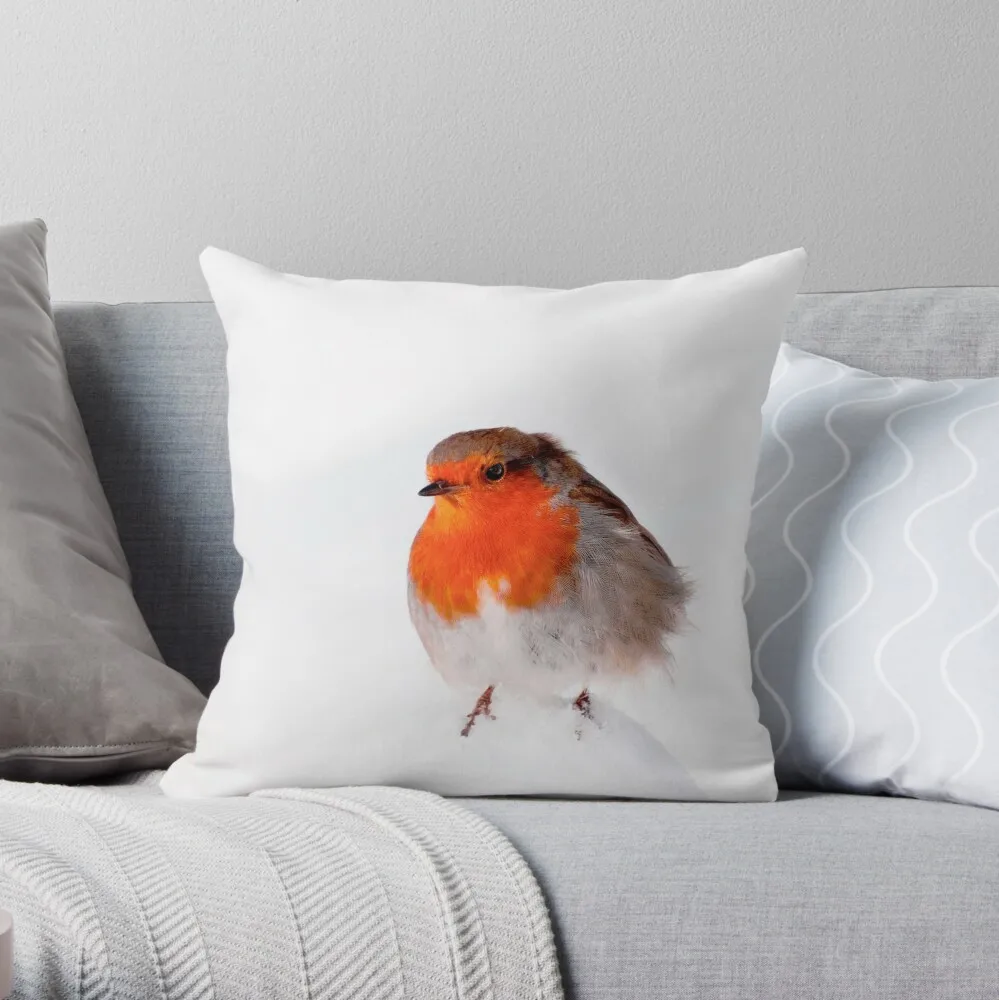 

It's a Cold Day Robin Throw Pillow Customized Hot Sale Luxury Printing 3D Printing Square Pillowcase Throw Pillow Cover 45x45cm