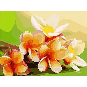 

Flowers Painted By Number Beginner Digital Canvas Acrylic Painted For Adults Kids Handpainted Kits Gift House Living Room Decor