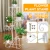 4/5 Tier Flower Shelf Nordic Home Balcony Decoration round/square Flower Rack Plant Stand Shelves Wrought Iron Living Room 