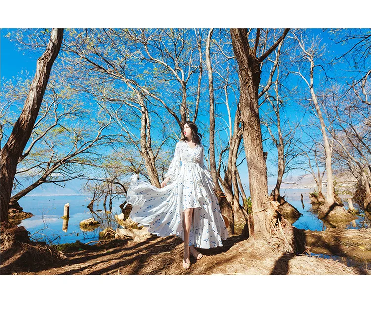 On the Swing Fairy V-neck Photo Ultra Large Pendulum Holiday Dress Long Skirts