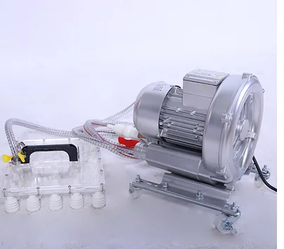 220v Вакуумный код яичные принадлежности для инкубаторов, чтобы сосать курицу и утиный яйца может сосать 30 штук за раз с двумя ручками - Цвет: 220v