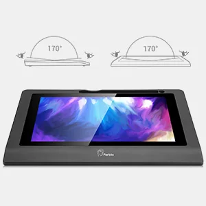 Parblo Coast10 10," ips графический чертежный планшет ЖК-дисплей монитор+ ручка без батареи+ перчатки с двумя пальцами+ шерстяная подкладка сумка+ Наконечники