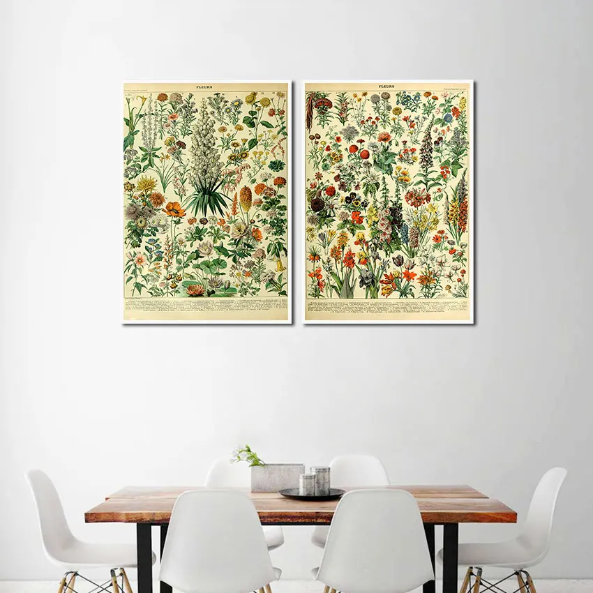 

Retro Poster Herbal Plants Flowers Canvas Painting Biology Educational Photos Home Decor Pictures Wall Art Frameless Mural
