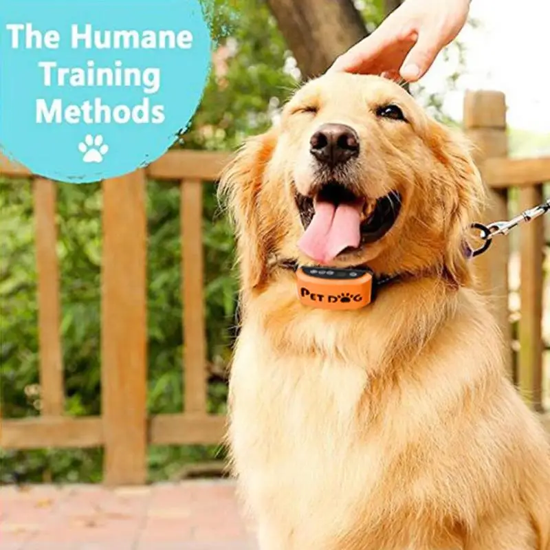 Pet Dog Ultrasonic Anti Bark Collar Puppy Outdoor Stop Barking Small