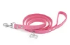 Pink Leash