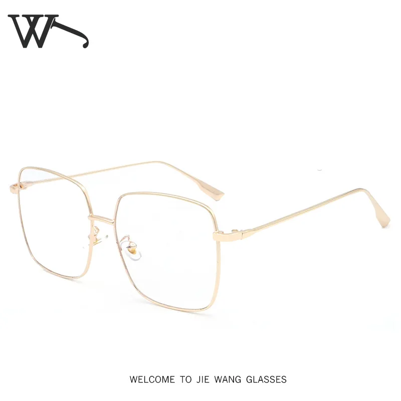 prevent swim goggles from fogging