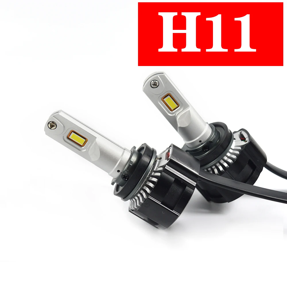 H11 (1)