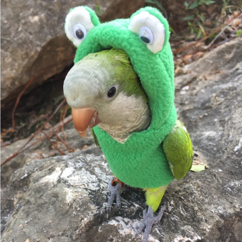 Одежда с птицами ручной работы птица милый Летающий костюм для Cockatiel Sun Parakeet монах попугай мягкая ткань костюм попугая M6167