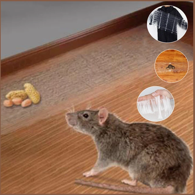 Waterproof Killing Mouse Rat Trap Killer Clear Invisible Mouse