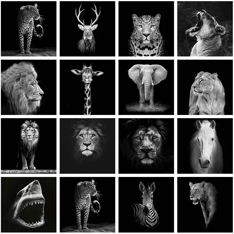 

Black White Animal Diamond Painting 5D DIY Full Square Drill Giraffe Lion Tiger Elephant Diamond Embroidery Living Room Decor