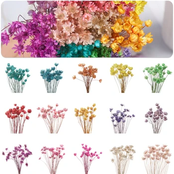 

30pcs Mini Daisy Small Star Flowers Bouquet Natural Plants preserve Floral Decorative Dried Flowers for Wedding Home Decoration