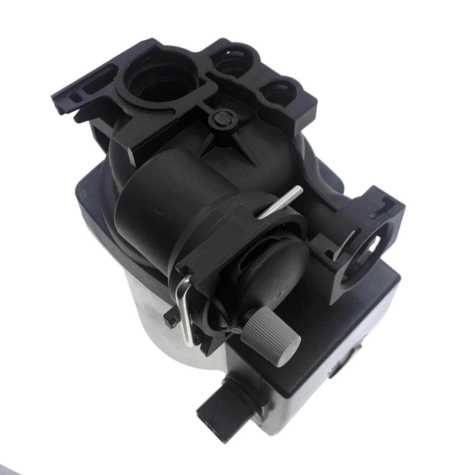 para Star Estrela Bravo e Neva Lux para star estrela bravo neva lux 01