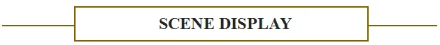 GOLD大写展示