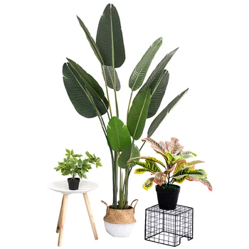 

Ins Creative Nordic Shop Window Landing Big Plant Interior Decoration Garment Door