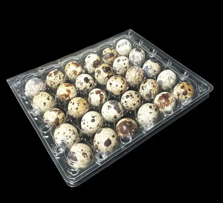 500pcs/lot 30 Holes Quail Egg Containers Plastic Quail Egg Boxes