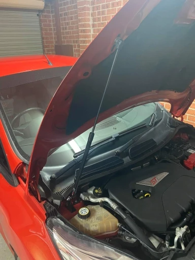 Gasveer Voor Ford Voor Fiesta Voor ST MK8 2017-2022 Motorkap Hood Wijzigen Gasveren Zuiger Lift Ondersteuning Schokdemper Gasveren Achterklep (Kleur : Red carbon