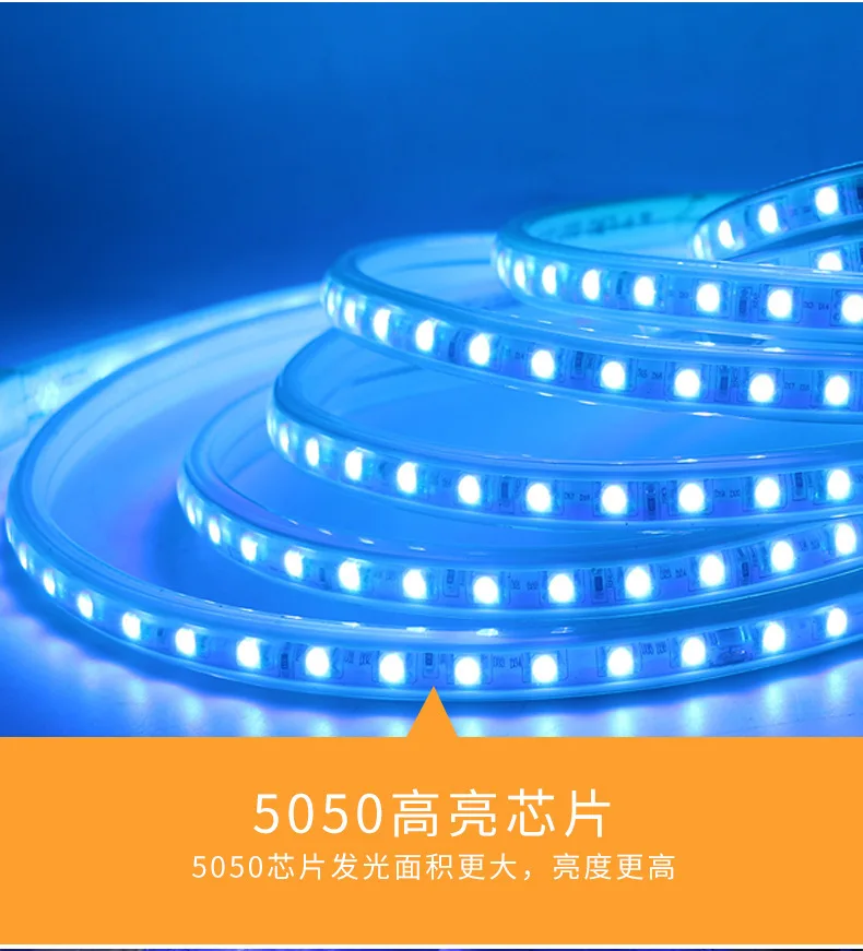 RGB Светодиодные Ленты Гибкие Огни SMD5050 60 Светодиодный Водонепроницаемый AC220V 230 V неоновый свет удаленного Управление вечерние Гостиная Home