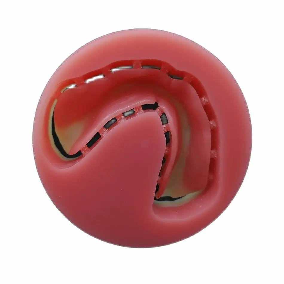 Full Denture Monolitico Fresatura Dentale Disco Pmma Biocompatibile Acrilico Ibrido Spazi Vuoti Per Laboratorio Odontotecnico Corona Per Protesi Tempo