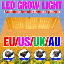 

LED Phyto Grow Lights Full Spectrum Phytolamp For Plants Lamp Quantum Board Greenhouse Hydroponics Growth Light Bulb 2000W 3000W