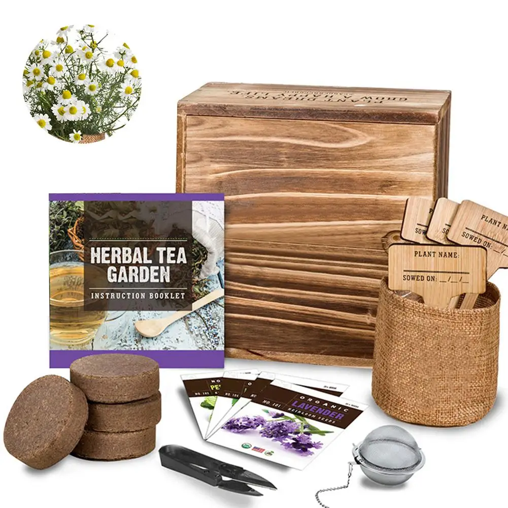 

Garden Starter Kit Compressed Coconut Bran Block Handmade Durable DIY Indoor Herb Growing Tools Grow Set For Growing Herbs