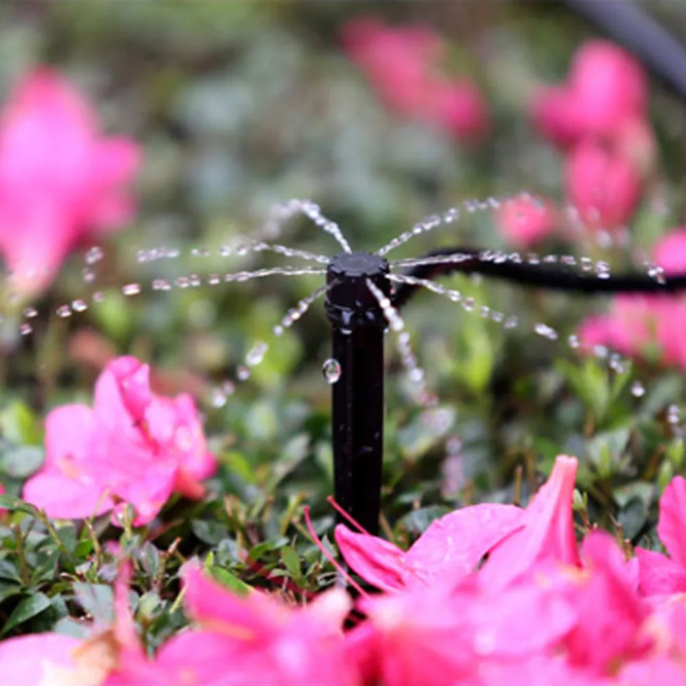 3f29bf3aa7968aa852b47e815b21dc4b