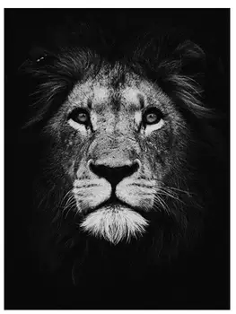 

full diamond painting lion head animals mosaic embroidery cross stitch rhinestone picture puzzle drawing wall decor craft gift