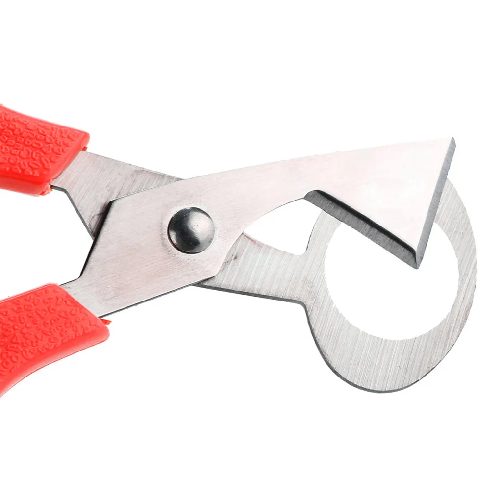 Quail Egg Scissors Bird Egg Scissors Stainless Steel Egg Cutters