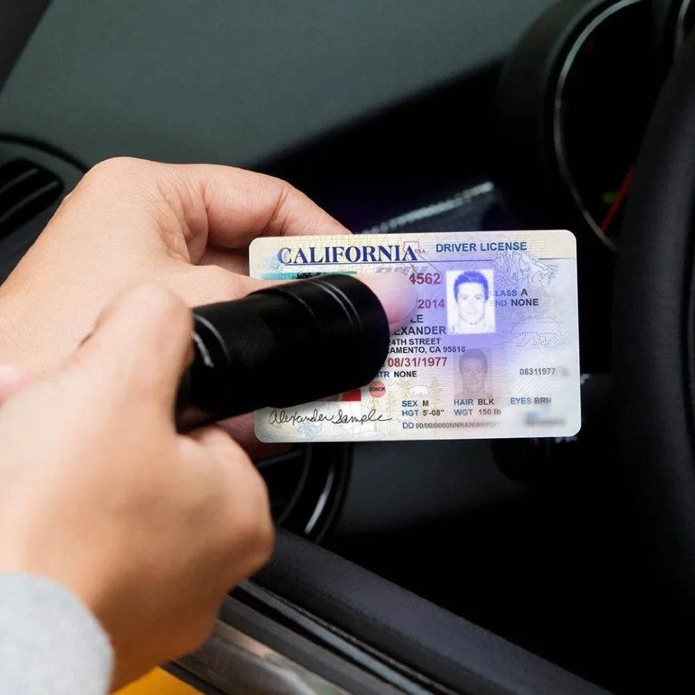 61AJnVw6dZL._SL1040_