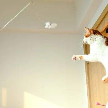 

Cat Teaser Bell Natural Goose Feather Fishing Rod Retractable Cat Playing Rod Replacement Head Interactive Cat Toy Cat Supplies