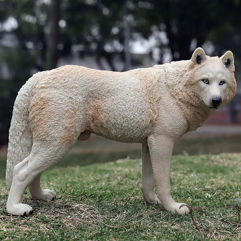 Oenux Original Savage Wild Animal Gray Wolf Action Figure - Beast Wolves Model Figurine PVC Collection Toy Gift image 5