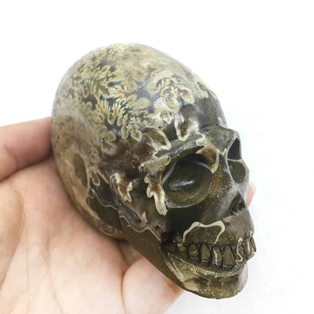 Ручной работы настоящий аммонит Fossil Статуэтка-Череп кварцевый хрустальный череп Мадагаскар образец минерала целебные хрустальные украшения для дома