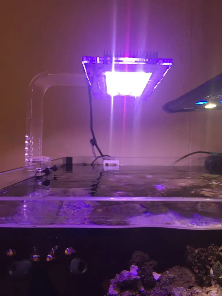 5BA673A0-DA8D-4AE8-8B4D-6CFAD98964D7