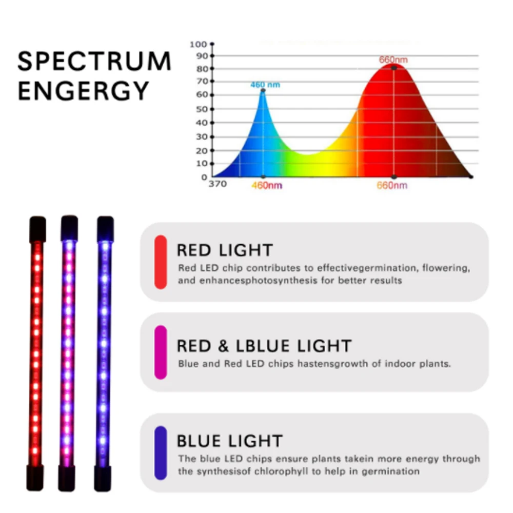 Luzes e Iluminação