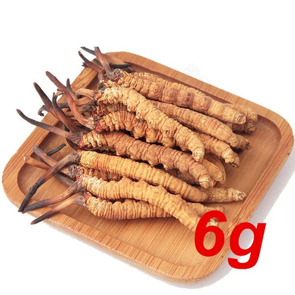 3g-9 г весь дикий Гималайский Кордицепс - Цвет: 6g