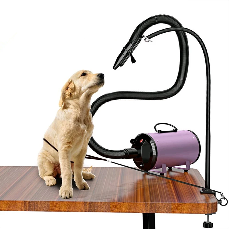 dog grooming cage dryers for sale