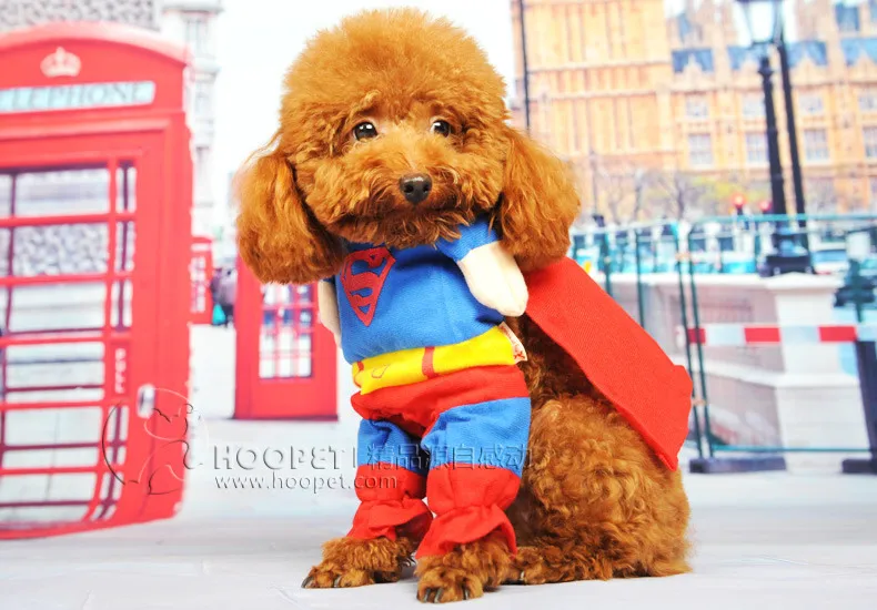 Hoopet Pet Dog Clothes Pet Costume Manufacturers Direct Selling New Style Wholesale Pet Supplies Market