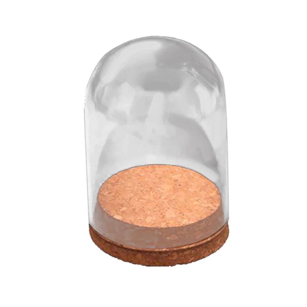

Decorative Clear Glass Cloche Bell Jar Display Dome with Wood Base, Tabletop Centerpiece DIY Decor