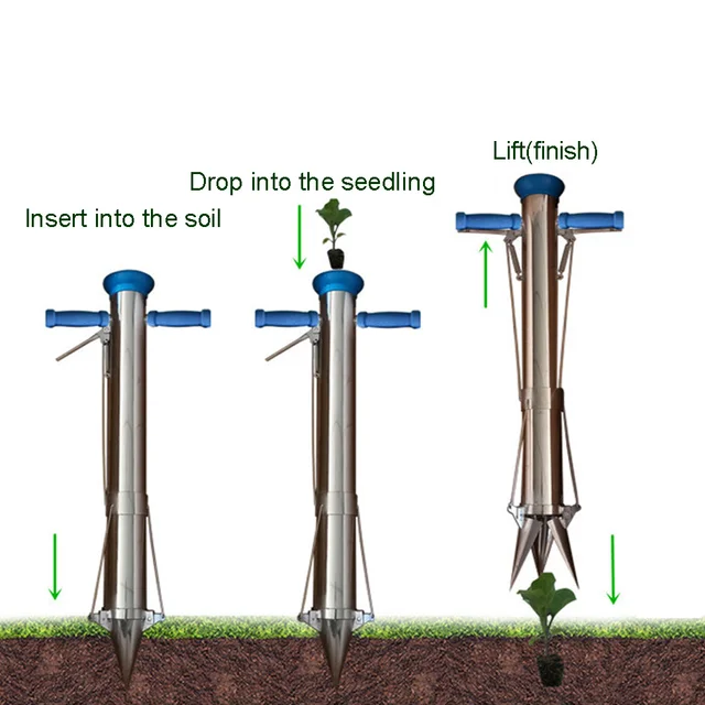 Rozsdamentes Acél Hagymát Ültetvényes Szerszámok És Zöldség Palánta Transzplanter Két Fogantyú Ajándékbab Vetőgéppel - Image 4