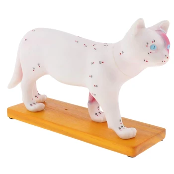 

AAY-Cat Feline Acupuncture Model Professional Anatomical Model with Display Base School Lab Study Model