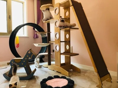 Tapis De Course A Roulettes Pour Animal De Compagnie Equipement De Fitness Pour Chat Grand Tapis Roulant Pour Chat Aliexpress