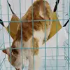 Pet Products