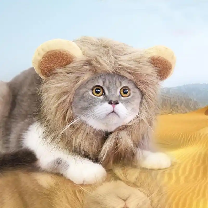 Sombrero De Gato Peludo Disfraz De Leon Peluca Para Gato Halloween Bonito Disfraz De Mascota Con Orejas Mascota Fiesta Accesorios De Gato Aliexpress