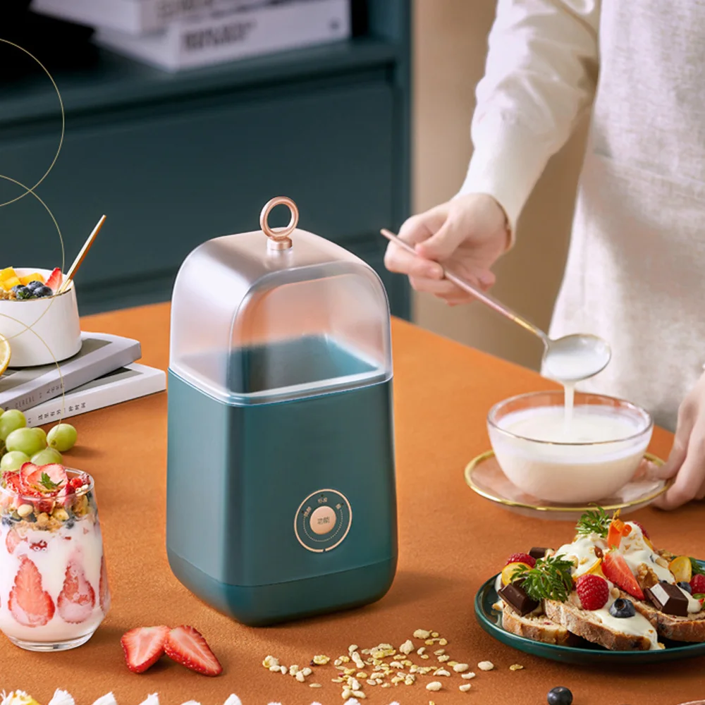 DMWD Household Yogurt Machine Portable Rice Wine Maker Milk Fermentation Machine Adjustable Acidity With 1L Container 220V