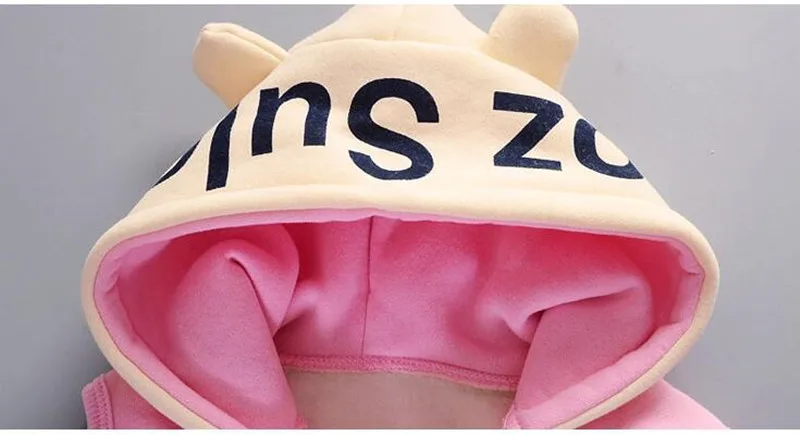 Autumn Baby Girls Clothing Sets Children Warm Hooded Coats And Pants Suit Toddler Boys Thick Velvet Tracksuit Kids Clothes Set (9)