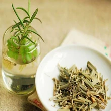 Эфирное масло лимонной травы 10 мл, средство от насекомых, регулирует кожу, устраняет молочную кислоту, бодрящий дух